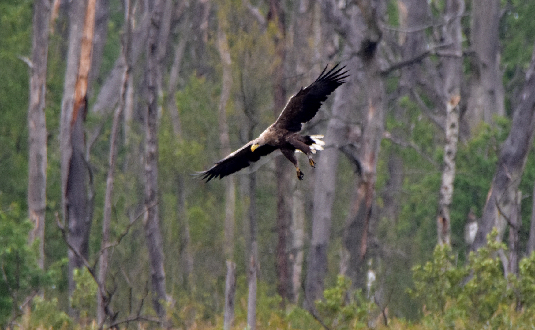 Anflug von Oben