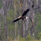 Anflug von Oben