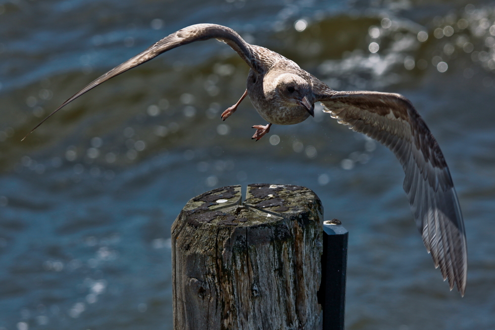 anflug von rechts