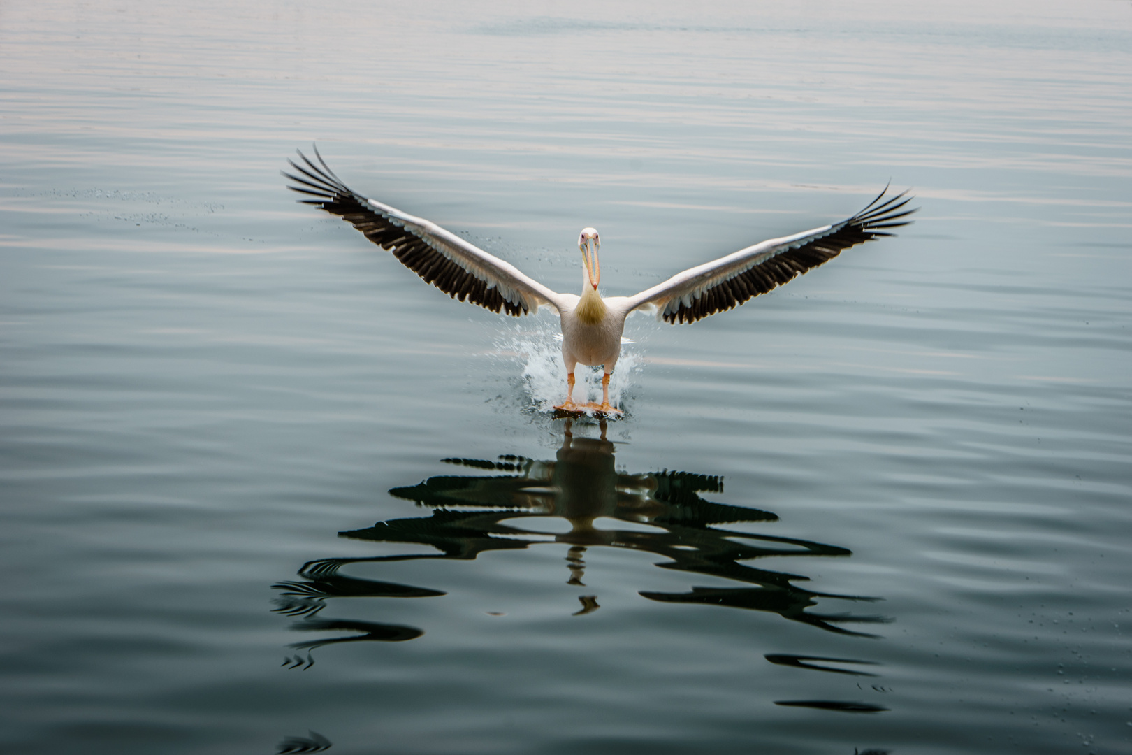 Anflug Walvis Bay