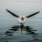 Anflug Walvis Bay