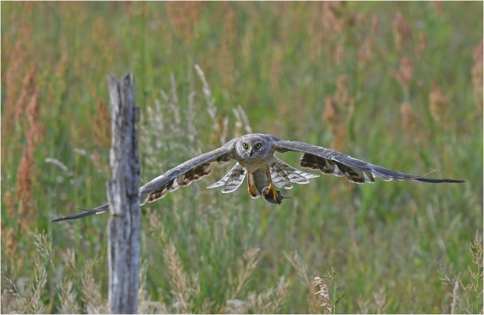 Anflug zum Kröpfplatz