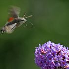 Anflug zum Nachtanken