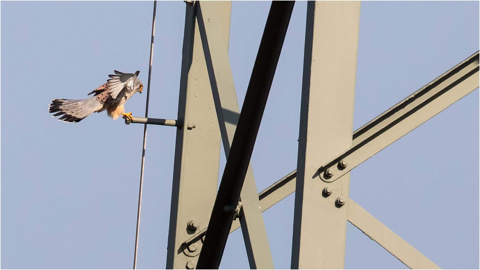 Anflugsziel Stahlbolzen in schwindelnder Höhe  .....