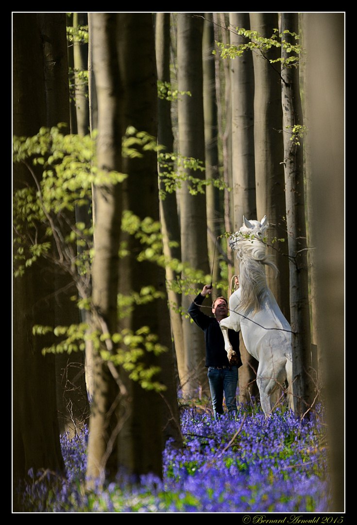 Ange licorne vous remercie