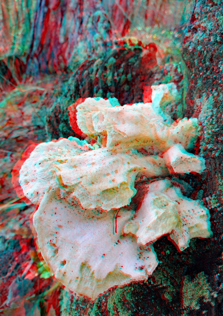 angefressen ( 3D rot/cyan Anaglyphe  stereo)