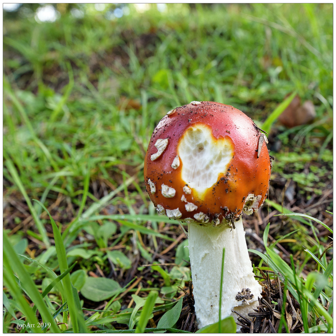 Angefressen aber herzlich...