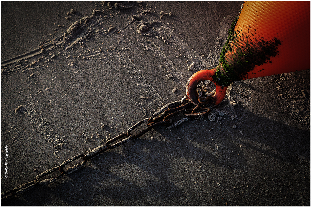 angekettet Foto & Bild deutschland, europe, schleswig holstein