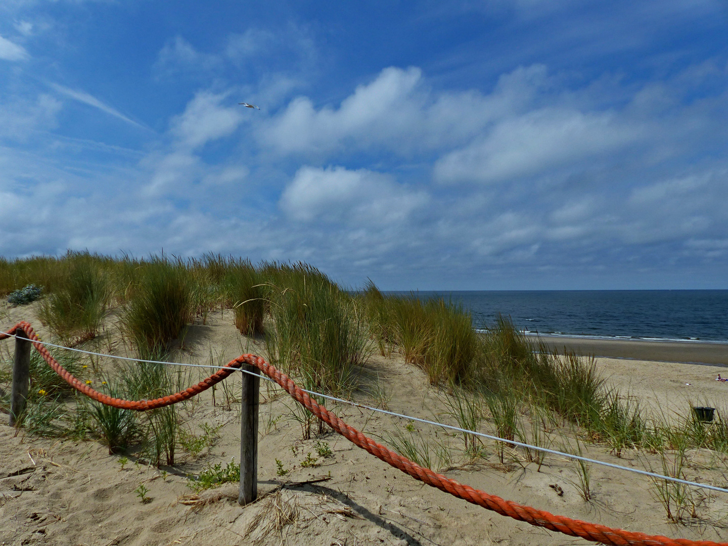 Angekommen auf Texel