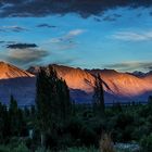 Angekommen im Nubra Valley