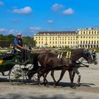 Angekommen im Schlosspark von Schönbrunn