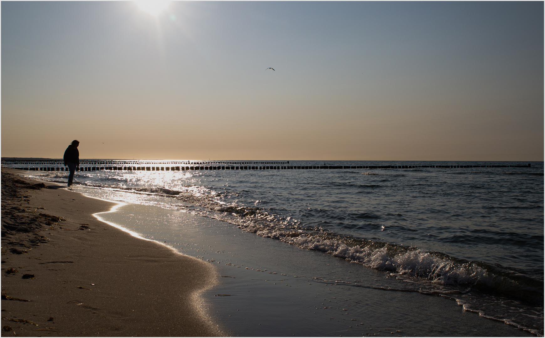 Angekommen in Zingst an der Ostsee