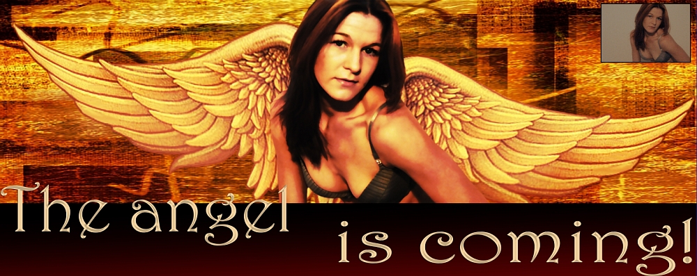 Angel di XXDigiartXX 