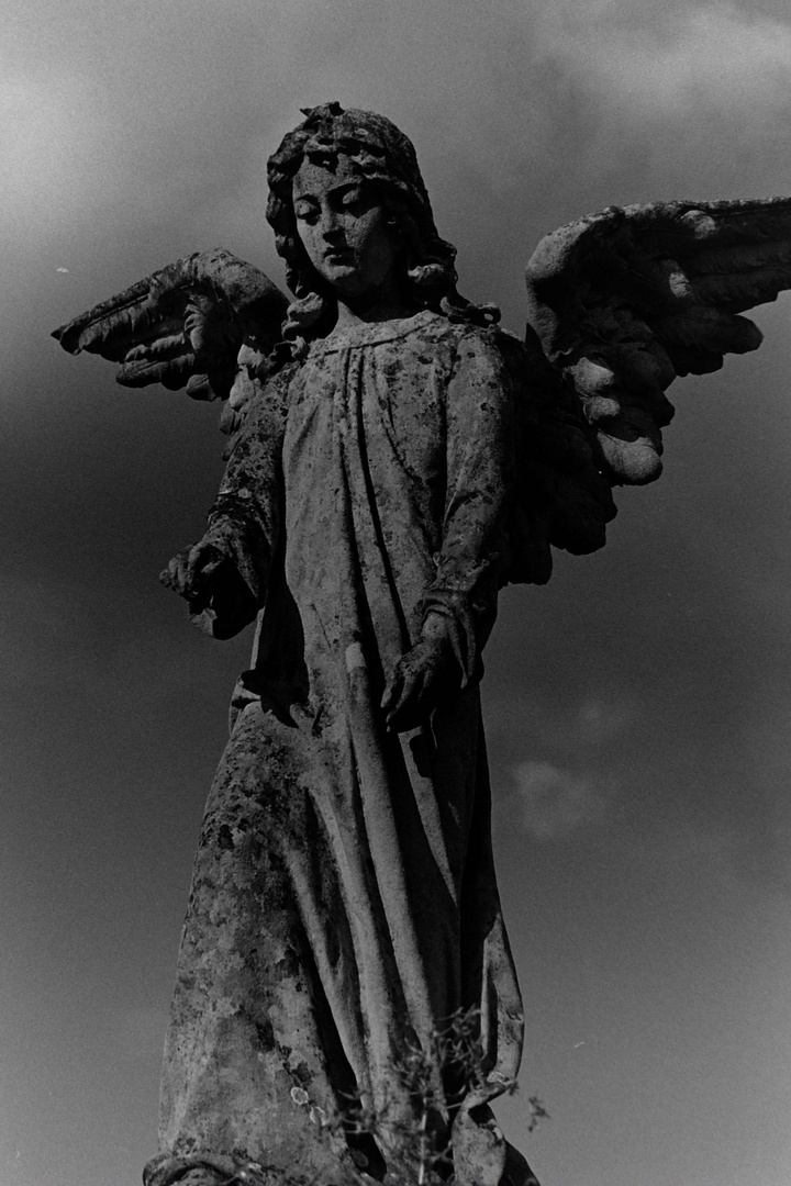 Angel