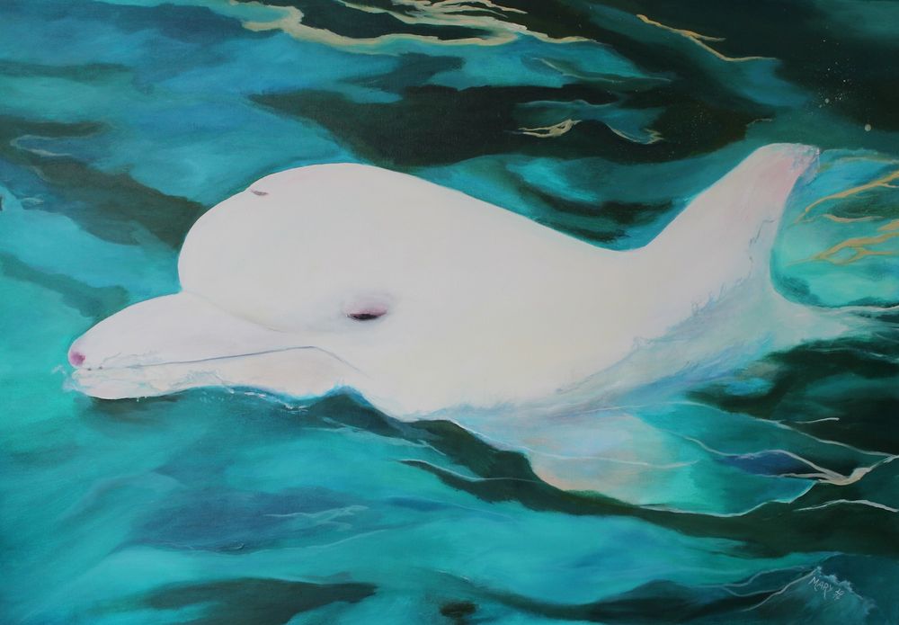 Angel - der weiße Delfin von Taiji