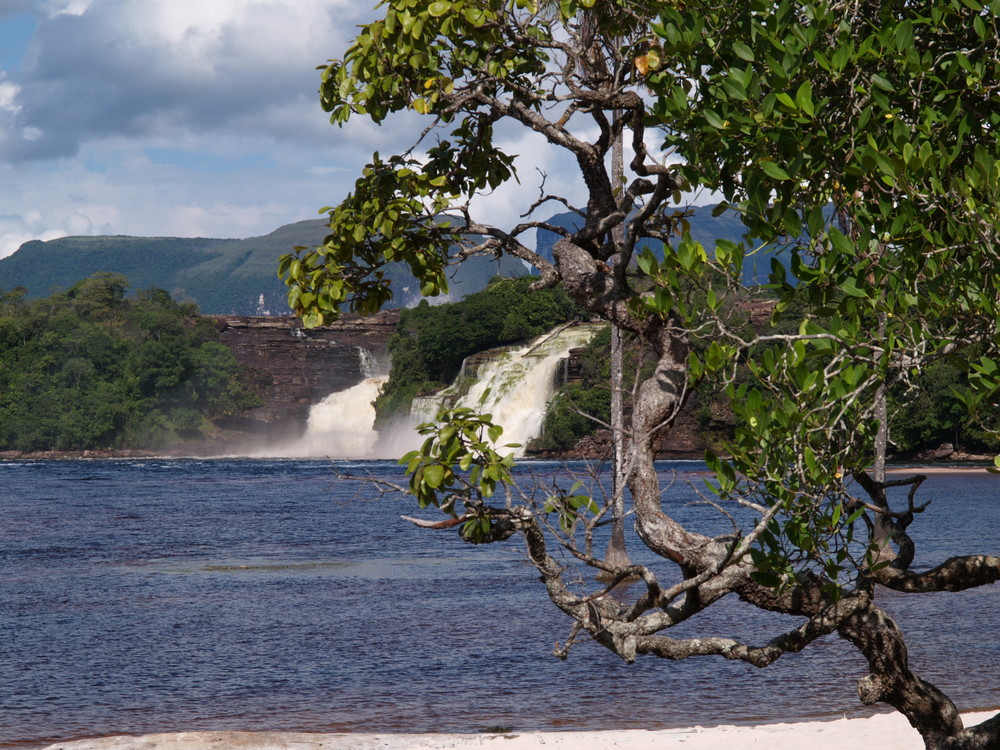 Angel Falls