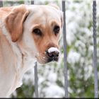 Angel hat mal einen Balkonblick riskiert .....