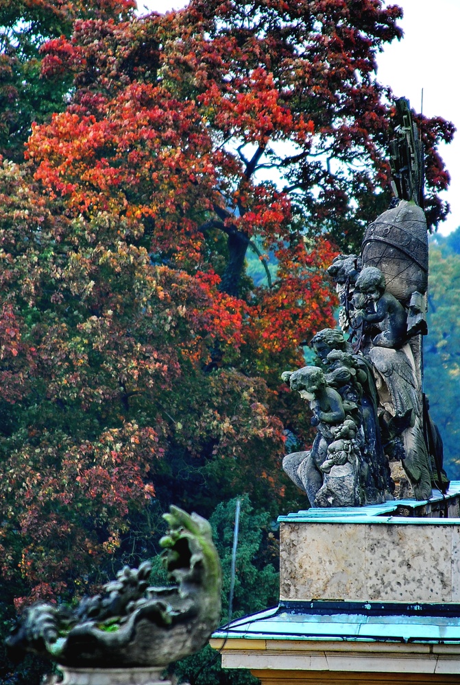 angel in autumn...