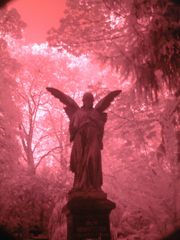 "Angel in Red"