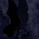 Angel in the Dark (Blue Edition)