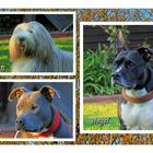 Angel, Leon und Kim aus Wuppertal