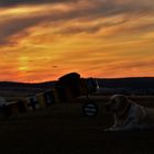 Angel & Maja im Sonnenuntergang 