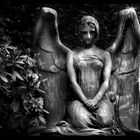 ...Angel Of Death...