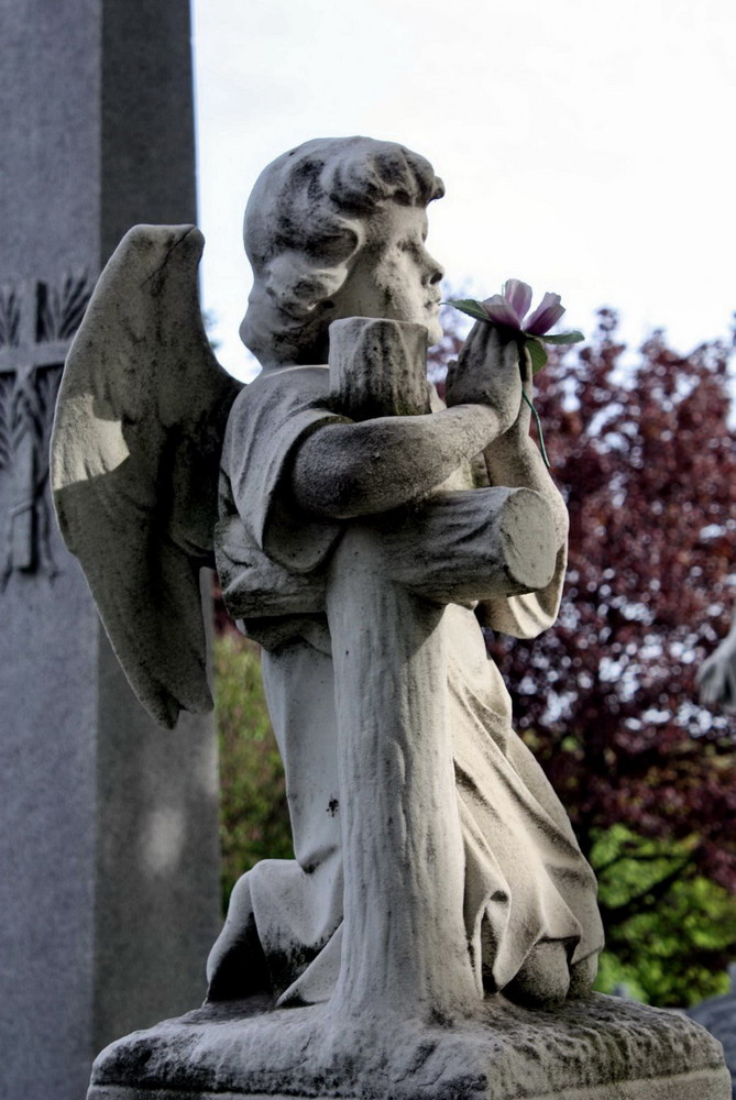 Angel praying