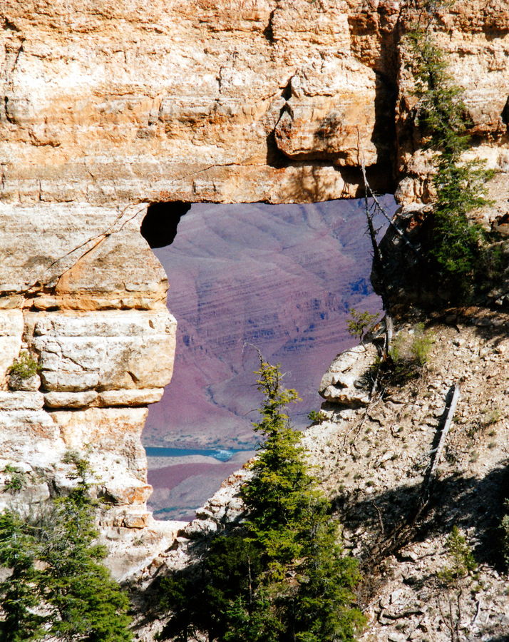 Angel Window