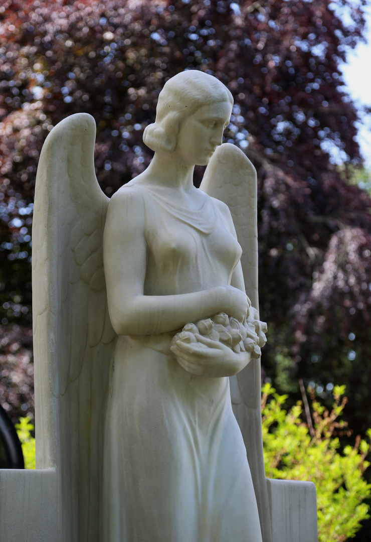 Angel With Roses