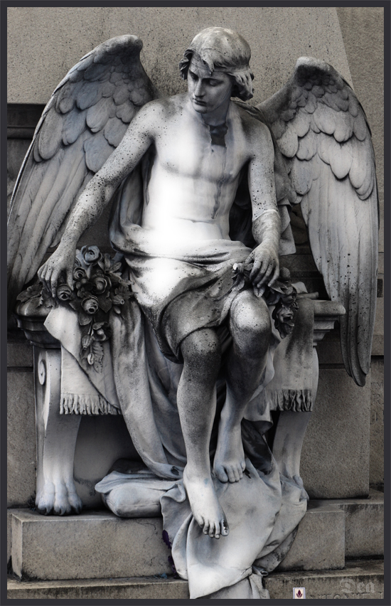 Angel - Zentralfriedhof Graz