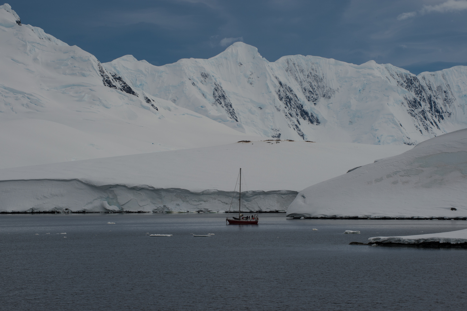 Angelandet, Port Lockroy  DSC_0660