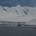 Angelandet, Port Lockroy  DSC_0660