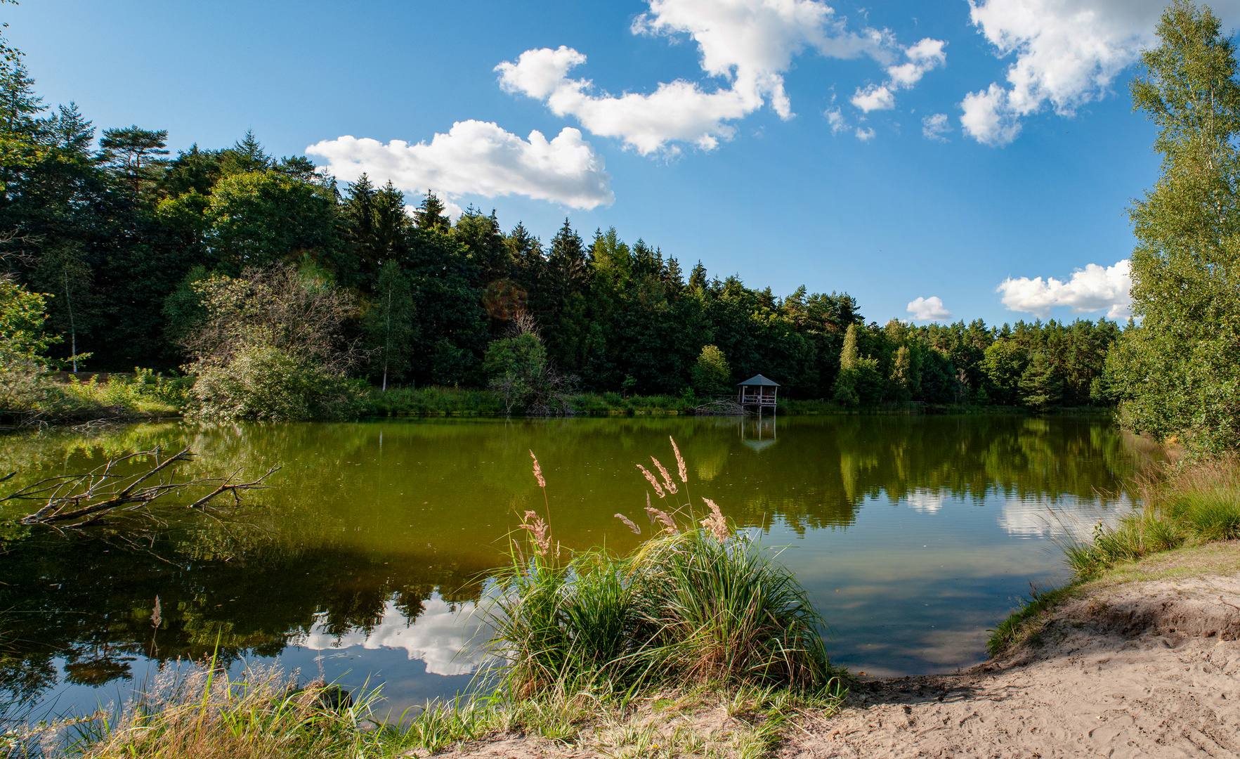Angelbecks Teich Foto & Bild deutschland, europe, niedersachsen