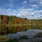 Angelbecks Teich im Spiegel der Natur
