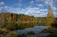 Angelbecks Teich im Spiegel der Natur