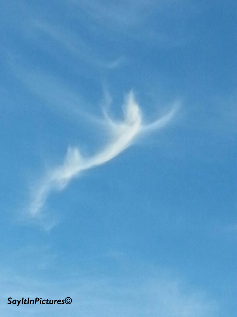 AngelCloud