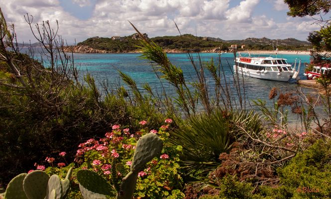 angelegt an der Isla Santa Maria