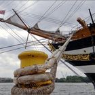 angelegt...die "AMERIGO VESPUCCI"