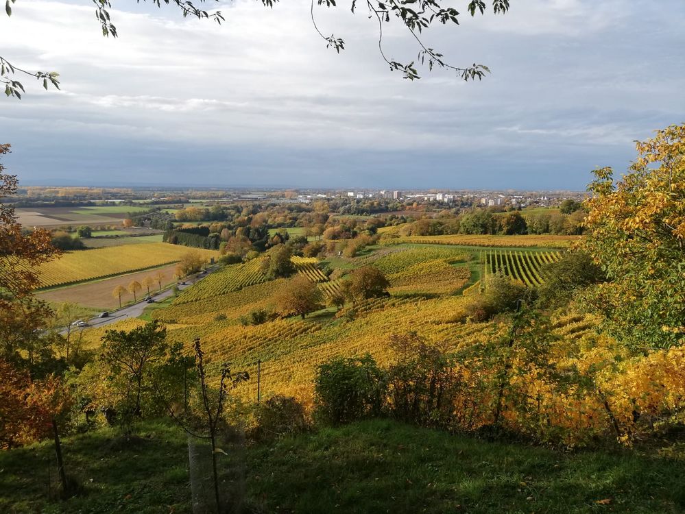 Angelika Herbstlandschaft