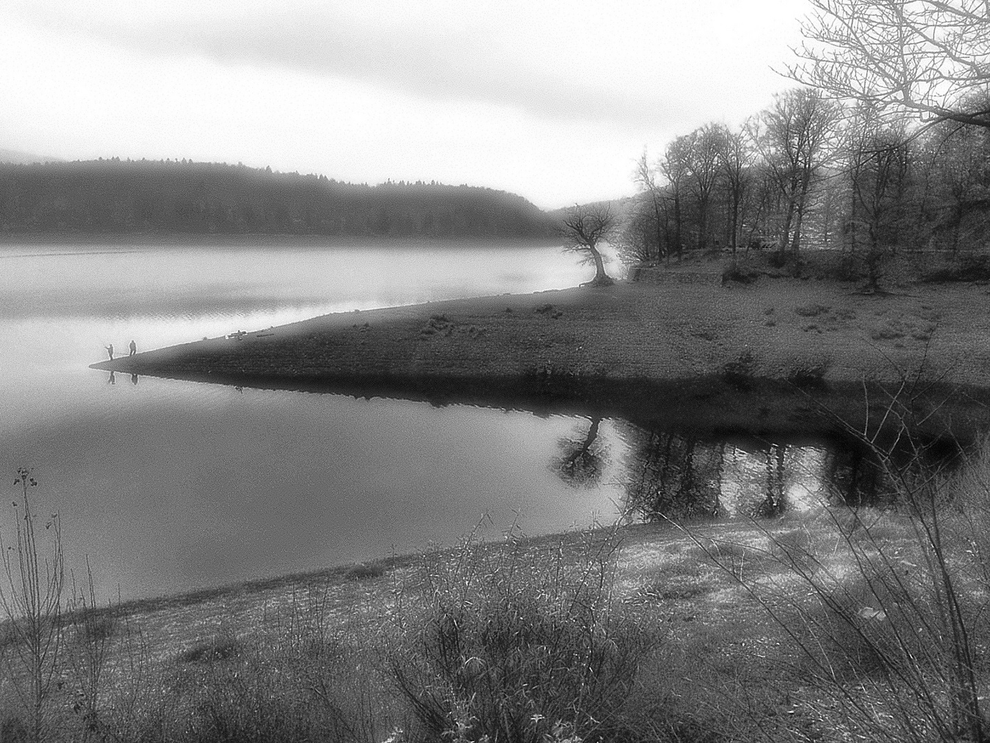 Angeln am Edersee