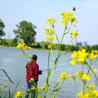 Angeln am Rhein