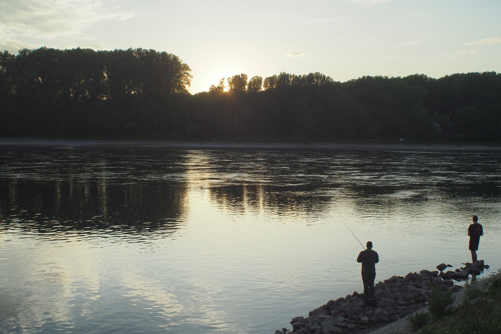 Angeln am Rhein 