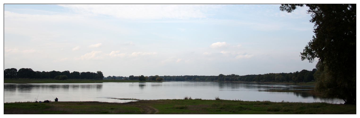 Angeln an der Elbe