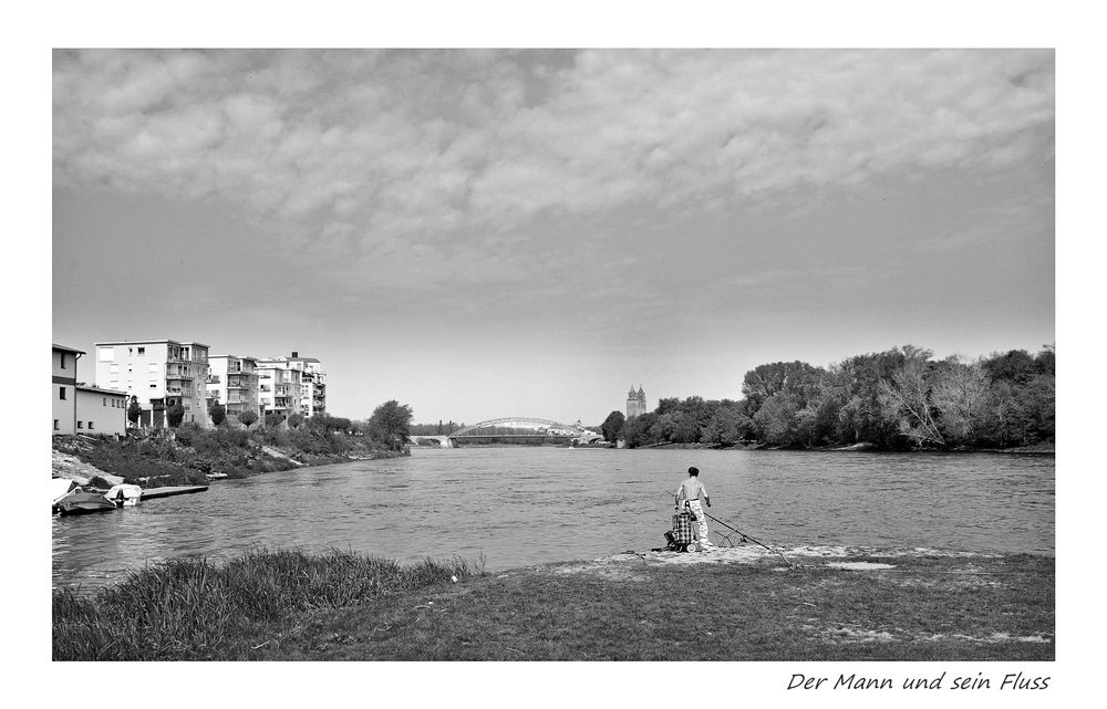 Angeln an der Elbe