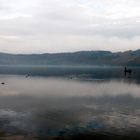 Angeln auf dem Laacher See...