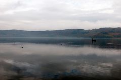 Angeln auf dem Laacher See...