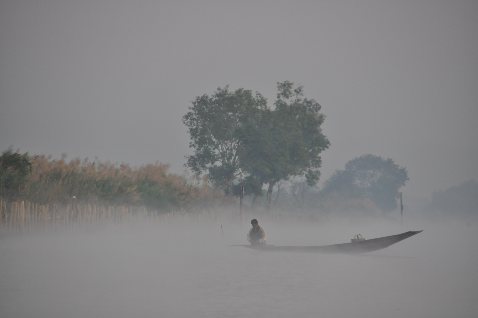 Angeln im Morgennebel