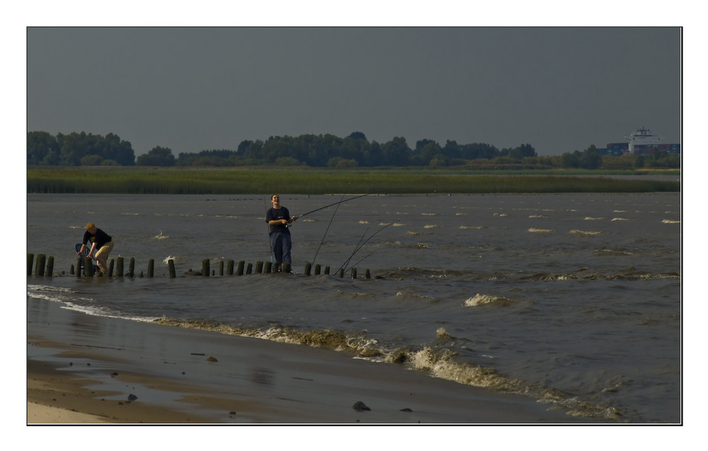 Angeln IN der Elbe