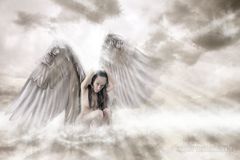 angels in heaven